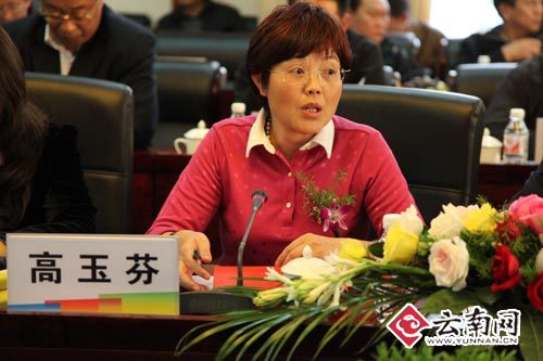 大理将与中国移动共建无线城市