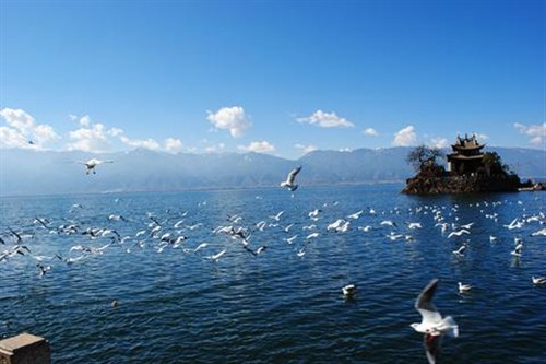 游客在云南大理游玩时 观光车坠入洱海  致1人死