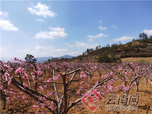 巍山牛街人口_大理巍山牛街乡王佐村