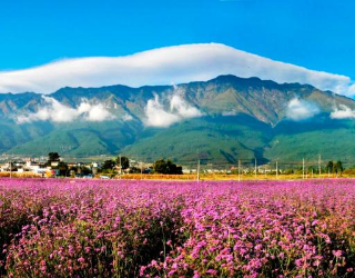 旅居大理，总有意想不到的惊喜