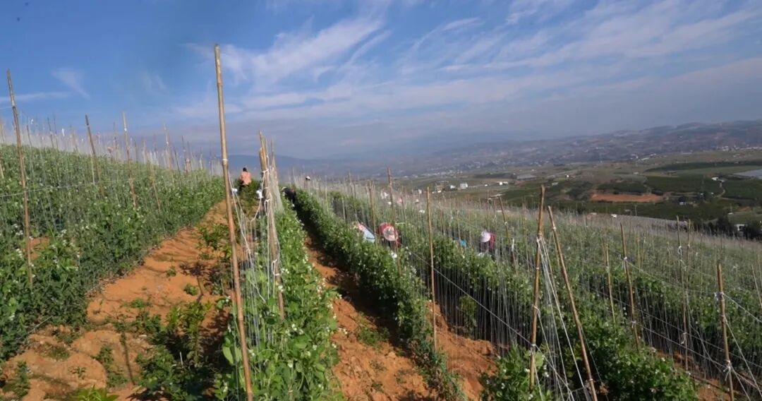 屏幕截图 2025-12-08 163132.jpg