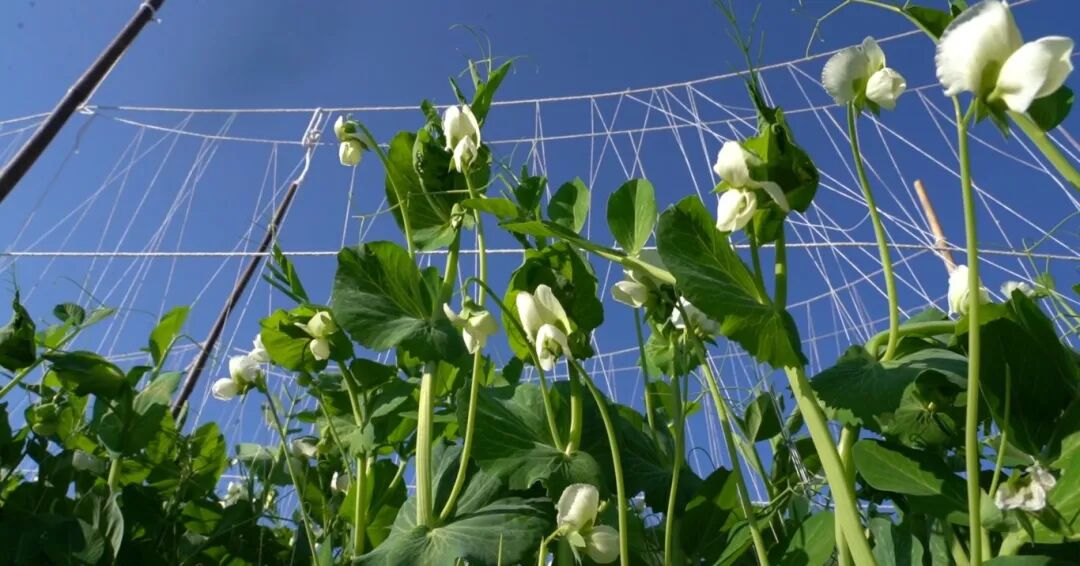 屏幕截图 2025-12-08 163031.jpg