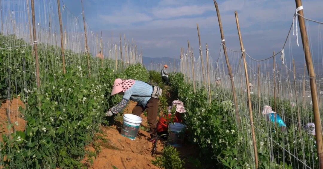 屏幕截图 2025-12-08 163153.jpg