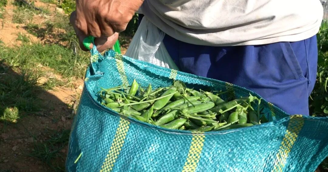 屏幕截图 2025-12-08 163422.jpg