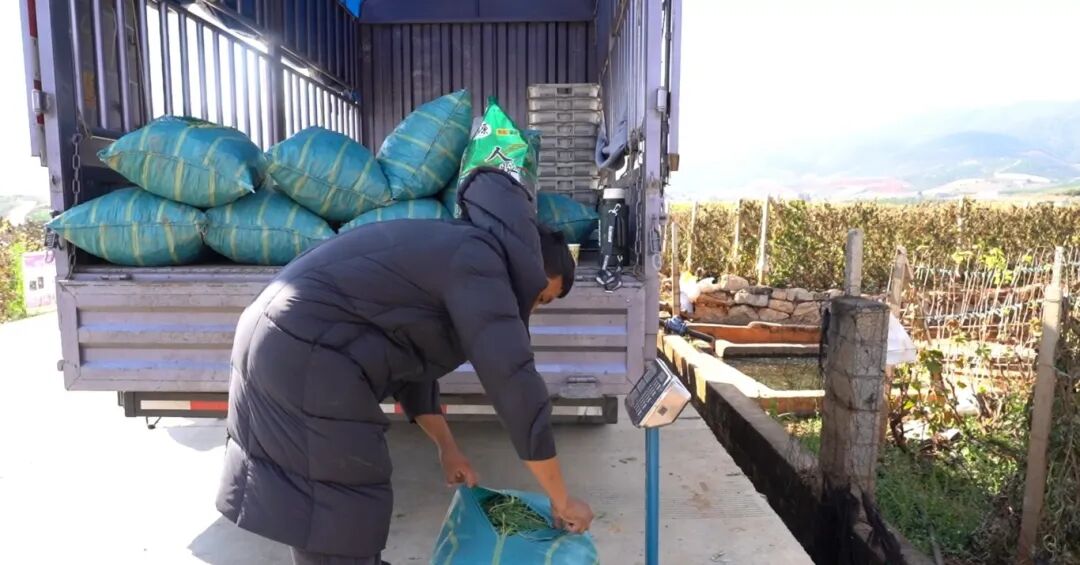 屏幕截图 2025-12-08 163640.jpg