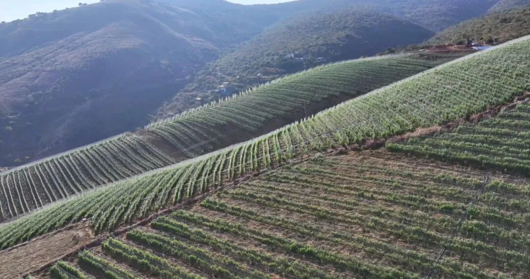 屏幕截图 2025-12-08 162709.jpg