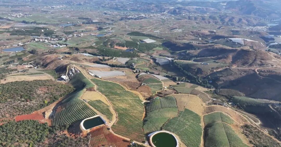 屏幕截图 2025-12-08 162646.jpg