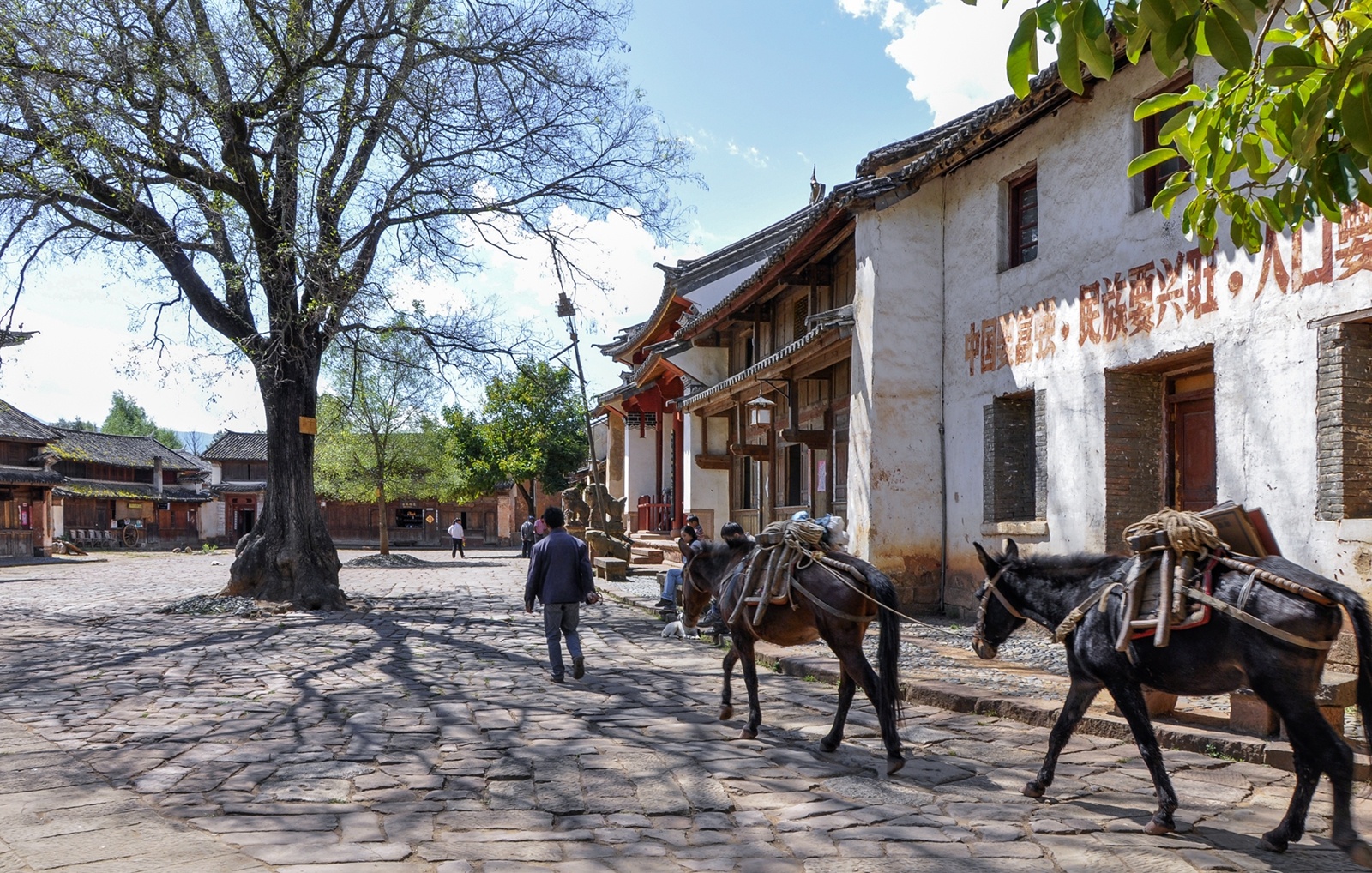 马帮（沙溪镇宣传办 供图）