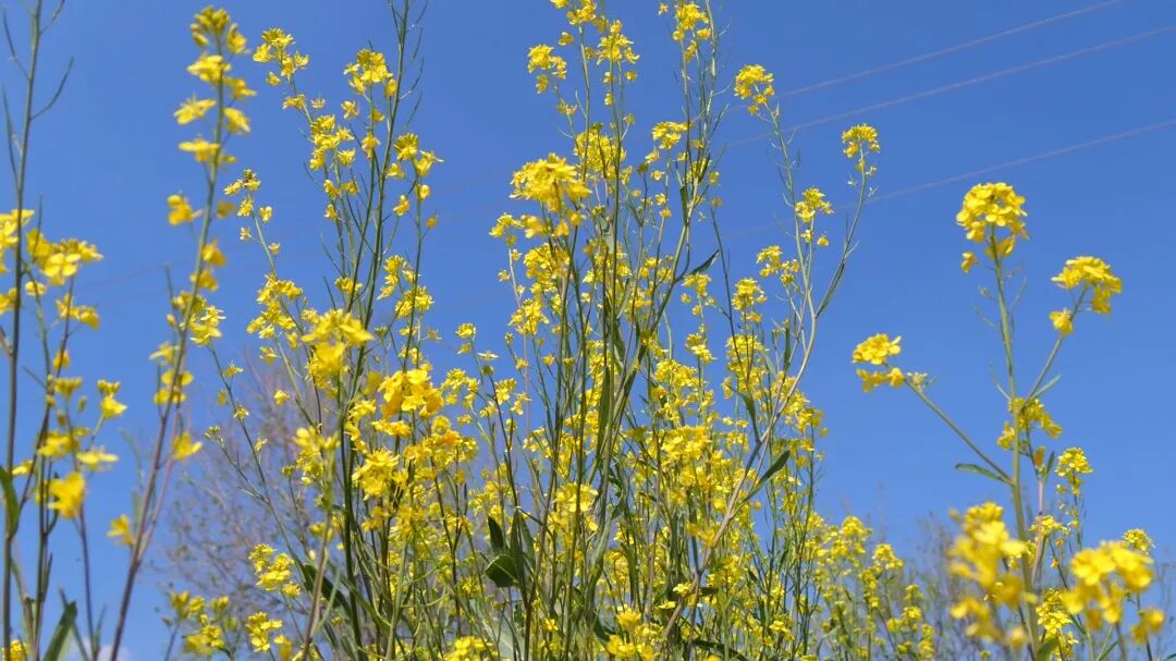 2月26日 (1)(1).jpg