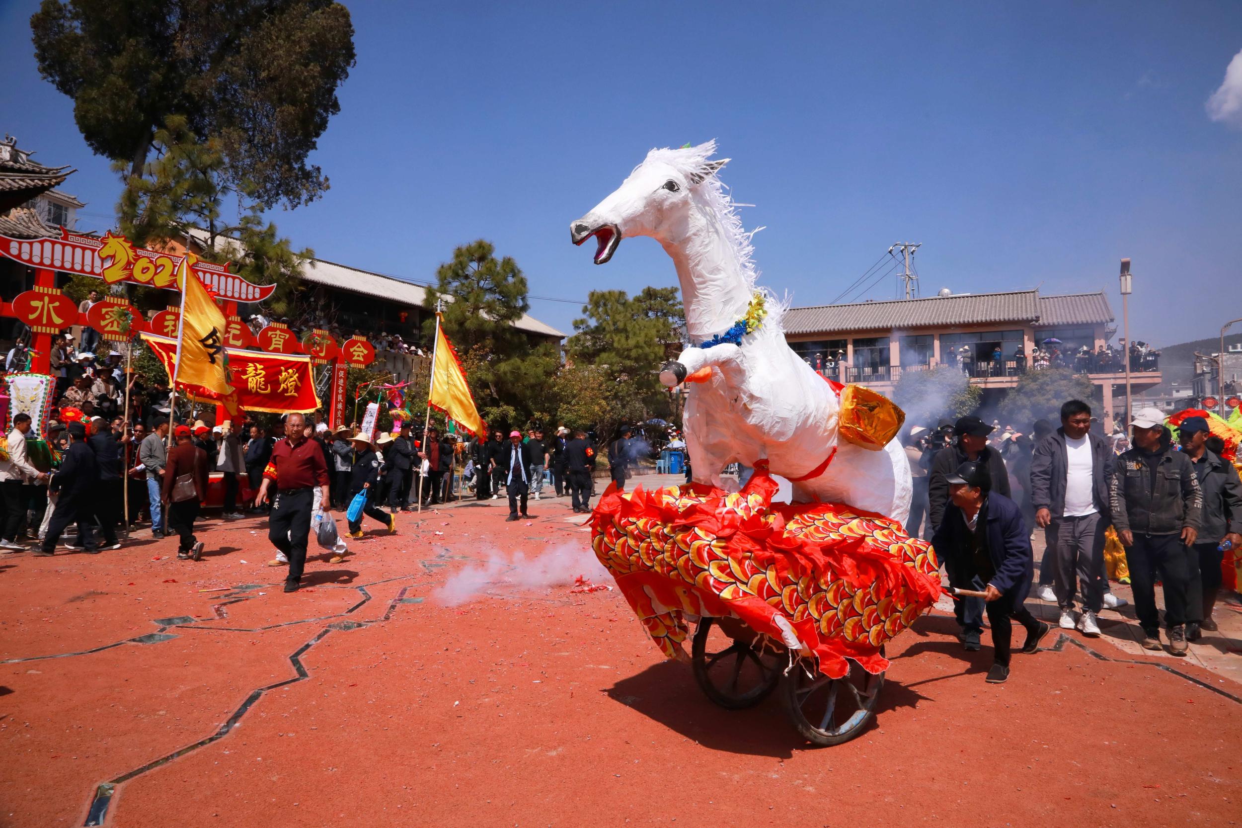 白马踏春（弥渡县融媒体中心 供图）