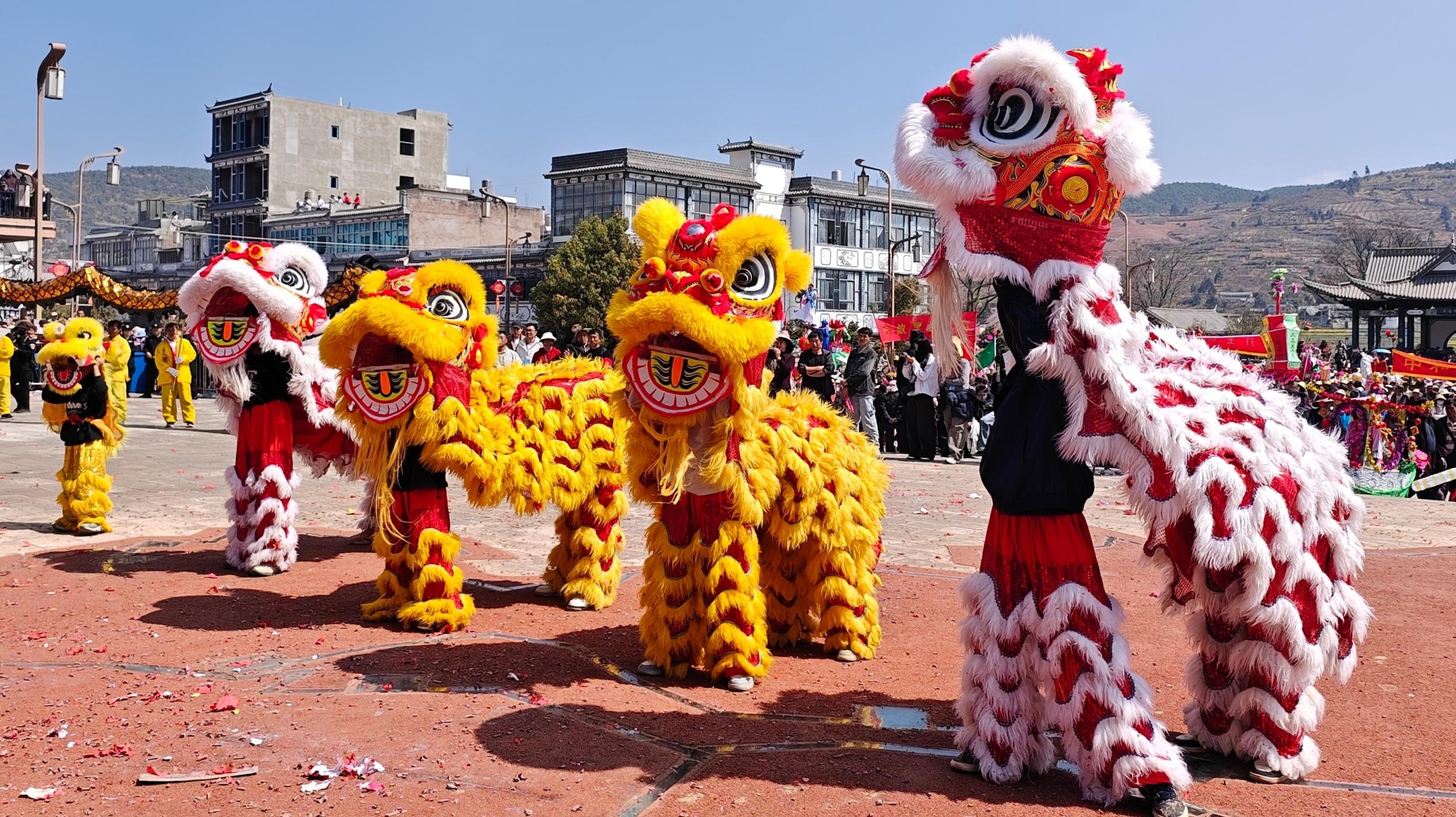 小狮子团拜新春（弥渡县融媒体中心 供图）