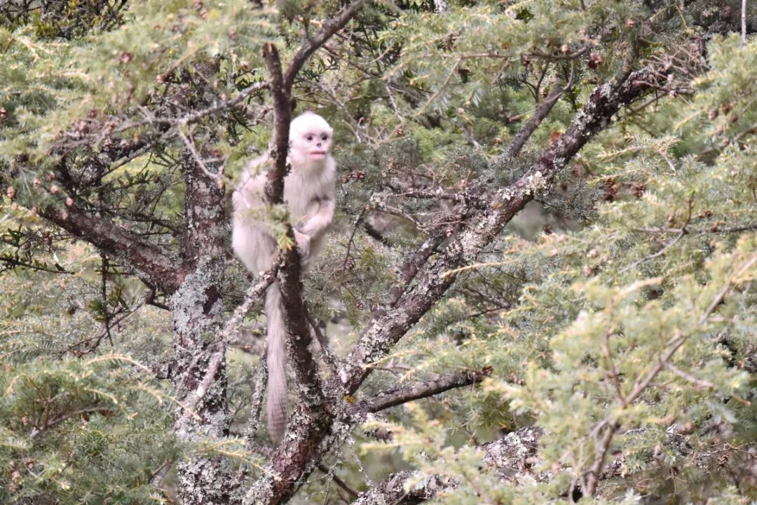 DSC_3739.JPG