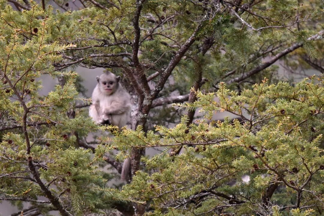 DSC_3823.JPG