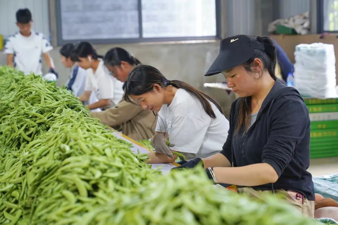 务工车间建在村里,村民实现家门口就业。