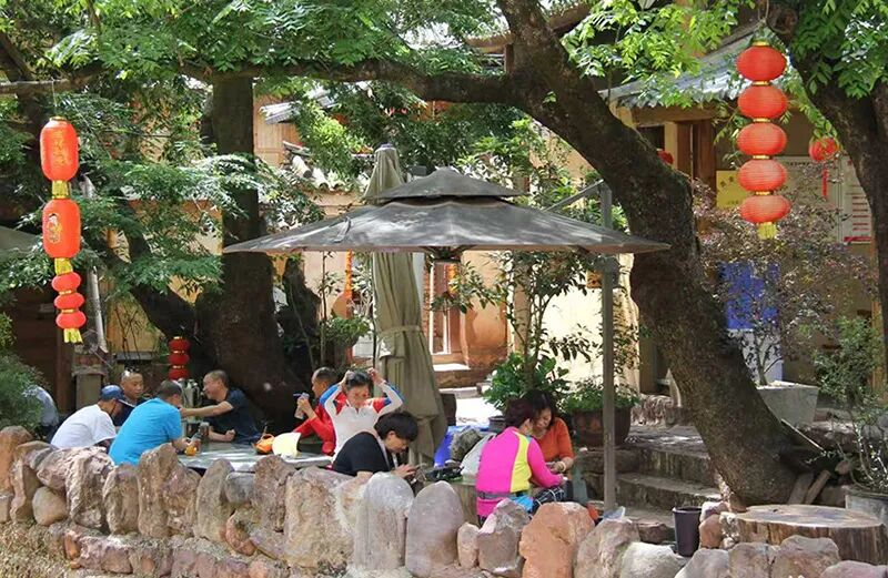 游客在诺邓古村大青树下驻足休憩