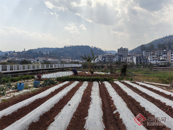 南涧县西山村村民黄体芬忙春耕整地 尤乾艳 摄南涧县西山村村民黄体芬