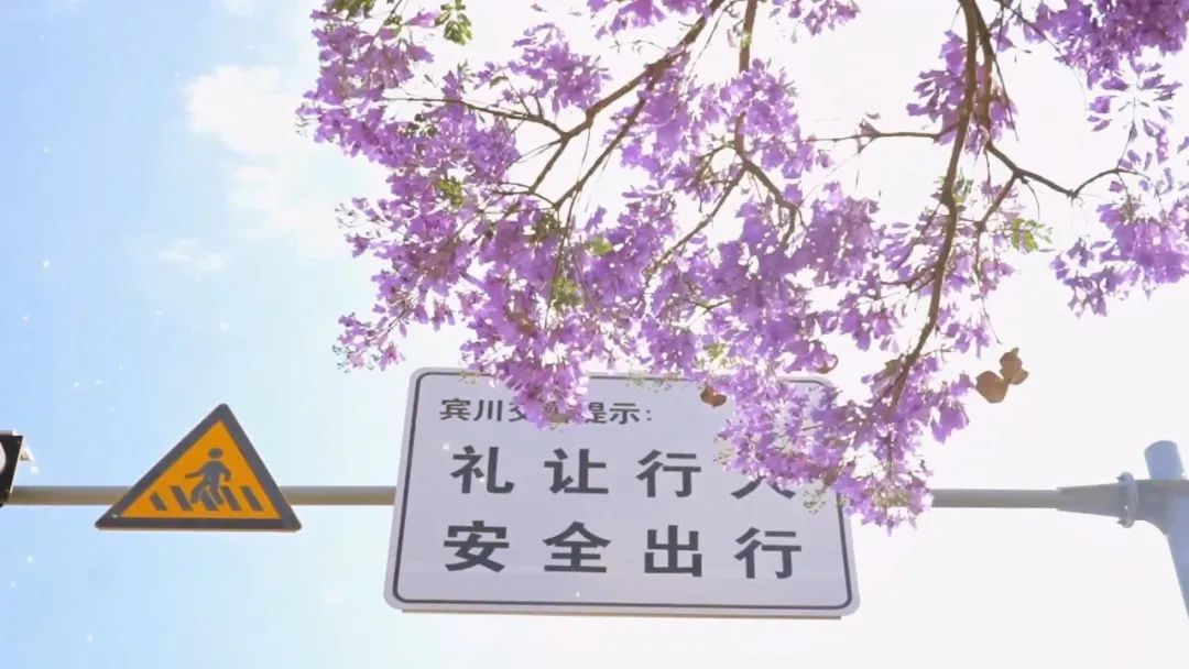 4月16日 (1)(8).jpg