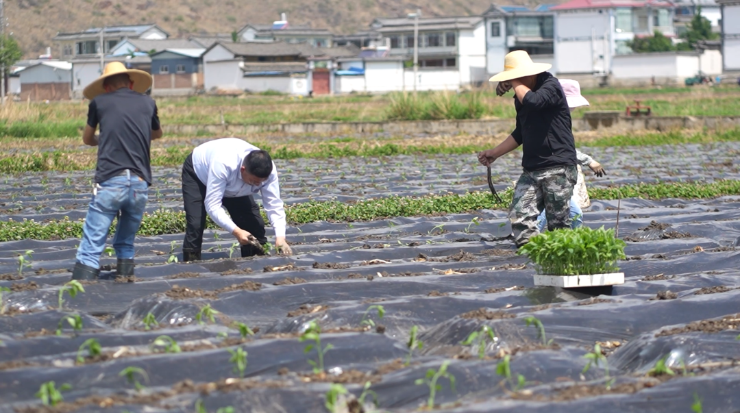 屏幕截图 2025-05-14 103249.png